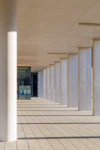 20250511_MSC_8565_WAASMUNSTER_VRIJ-WERK