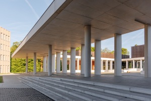20250511_MSC_8670_WAASMUNSTER_VRIJ-WERK