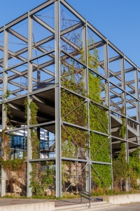 20250515_MSC_8850_GENT-DOK-NOORD