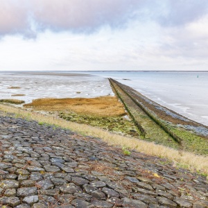 20250330_MSC_7824-HDR_Breskens